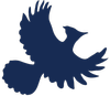 Rise Women's Legal Centre
