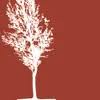 Miller Law Group, The