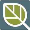 Quinn Family Law